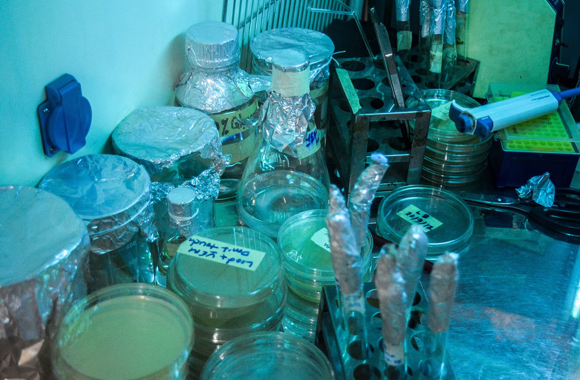 Solutions and equipment arranged inside a laminar-flow cabinet in a laboratory, with no identifiable personnel
