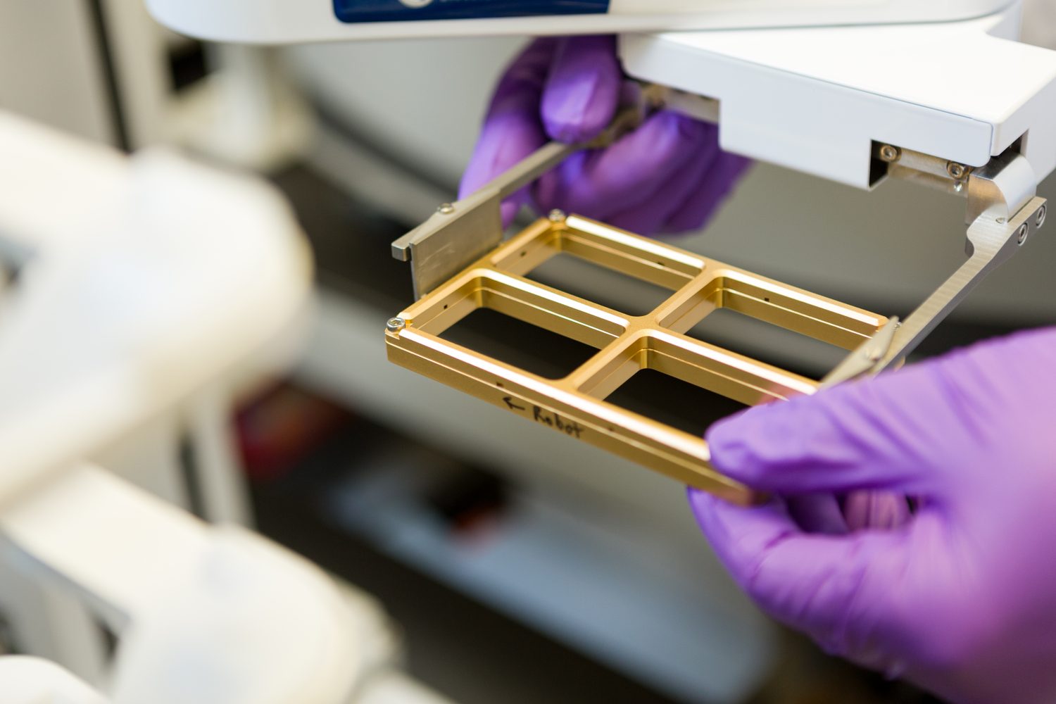 Purple-gloved hands loading a gold-colored plate holder into an automated laboratory screening instrument.